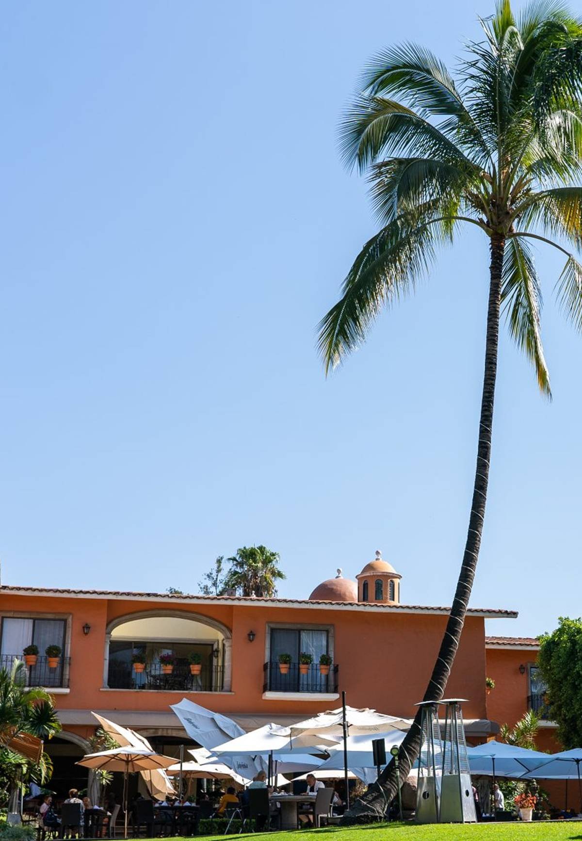 palmera-alta-frente-a-fachada-naranja-de-hotel-9-16