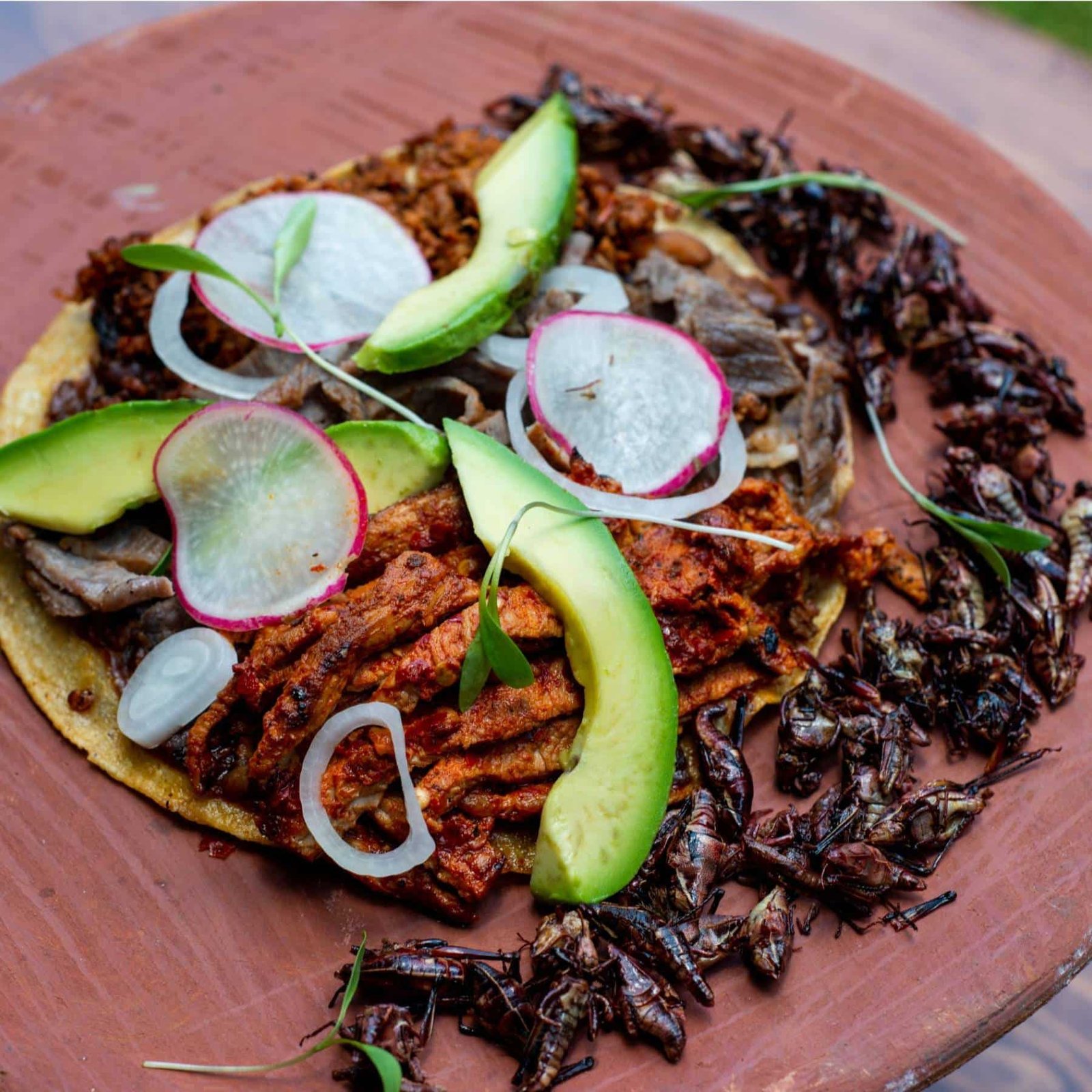 tacos-con-carne-y-chapulines